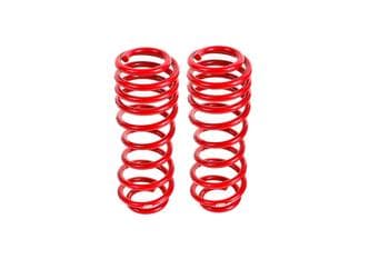 Lowering springs, rear, performance, GT500
