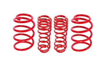 Lowering springs, set of 4, performance, GT500